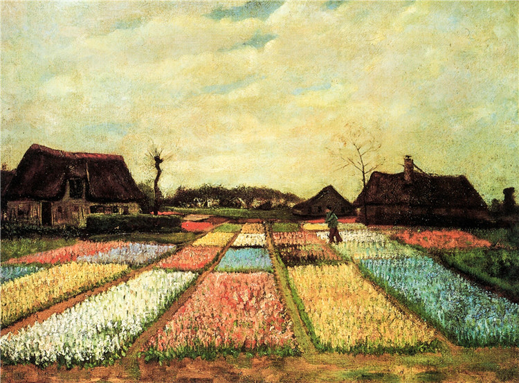 Bulb Fields Van Gogh Oil Painting